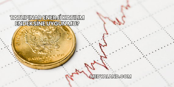 Tatlıpınar Enerji Katılım Endeksine Uygun mu?