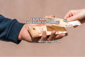 ebebek Katılım Endeksine Uygun mu?