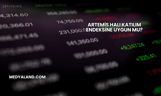 Artemis Halı Katılım Endeksine Uygun mu?