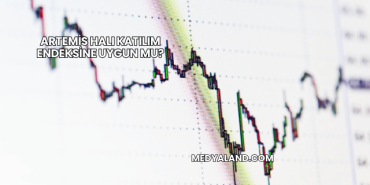 Artemis Halı Katılım Endeksine Uygun mu?