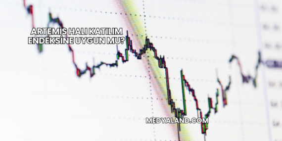 Artemis Halı Katılım Endeksine Uygun mu?