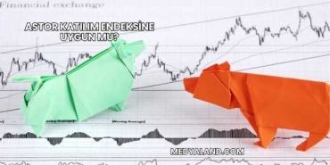 Astor Katılım Endeksine Uygun mu?