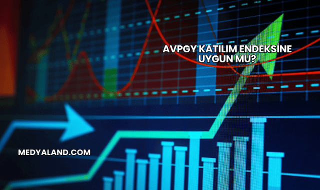 Avpgy Katılım Endeksine Uygun mu?