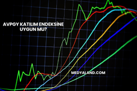 Avpgy Katılım Endeksine Uygun mu?