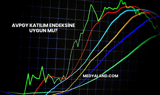 Avpgy Katılım Endeksine Uygun mu?