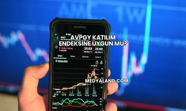 Avpgy Katılım Endeksine Uygun mu?