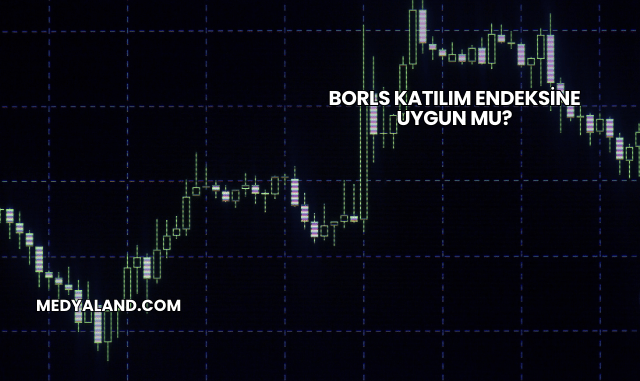 Borls Katılım Endeksine Uygun mu?