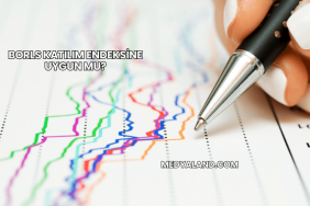 Borls Katılım Endeksine Uygun mu?