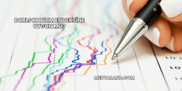 Borls Katılım Endeksine Uygun mu?