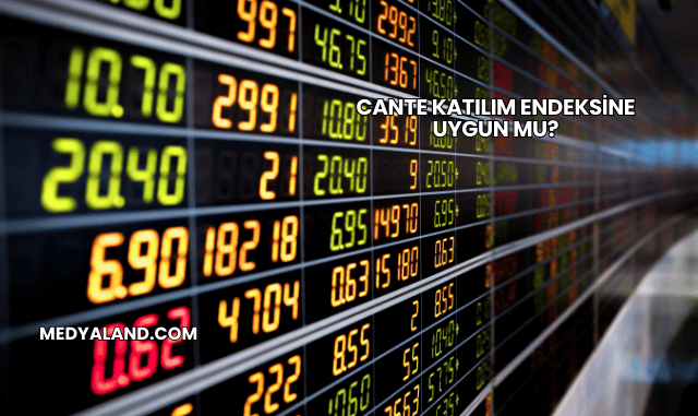 Cante Katılım Endeksine Uygun mu?