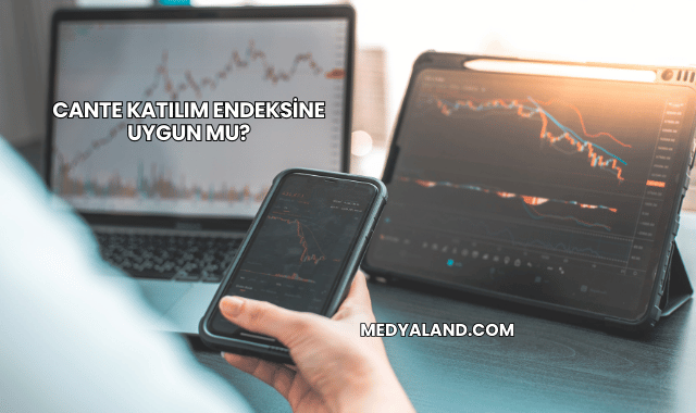 Cante Katılım Endeksine Uygun mu?
