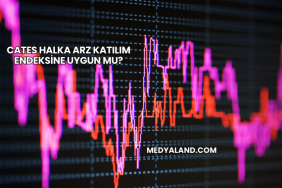 Cates Halka Arz Katılım Endeksine Uygun mu?