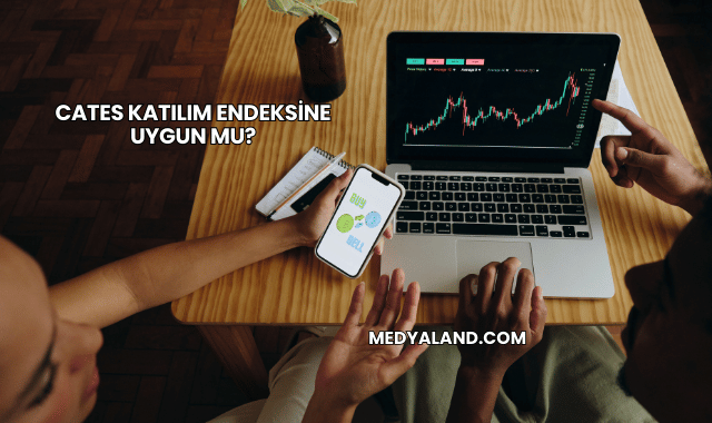 Cates Katılım Endeksine Uygun mu?