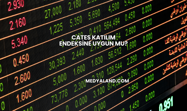 Cates Katılım Endeksine Uygun mu?