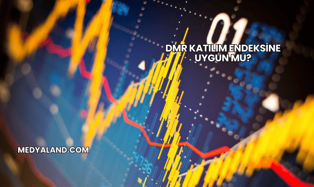 Dmr Katılım Endeksine Uygun mu?