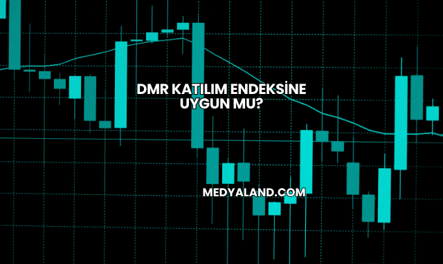 Dmr Katılım Endeksine Uygun mu?