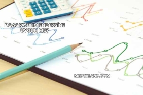 Doas Katılım Endeksine Uygun mu?