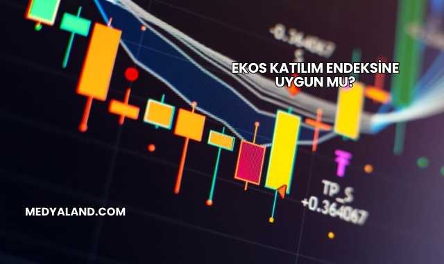 Ekos Katılım Endeksine Uygun mu?