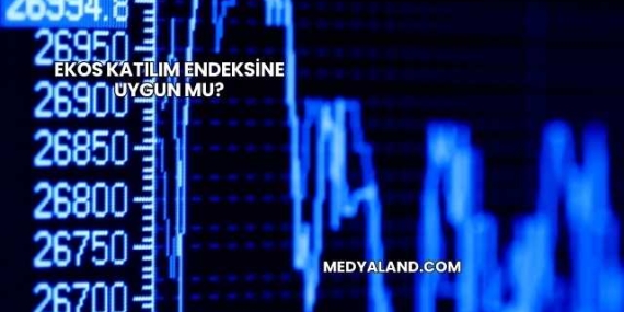 Ekos Katılım Endeksine Uygun mu?