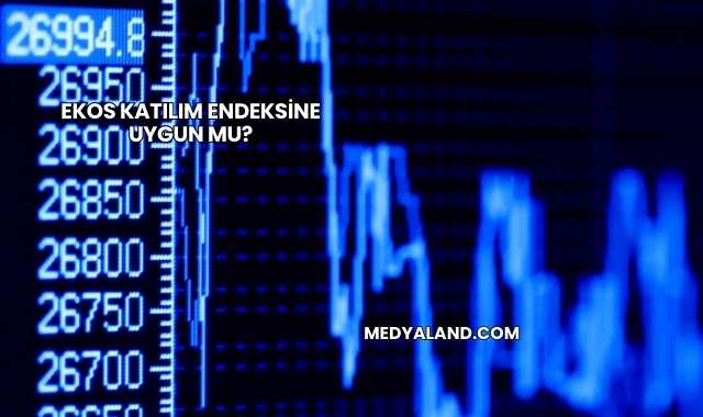 Ekos Katılım Endeksine Uygun mu?