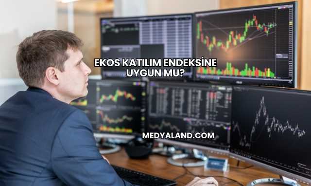 Ekos Katılım Endeksine Uygun mu?