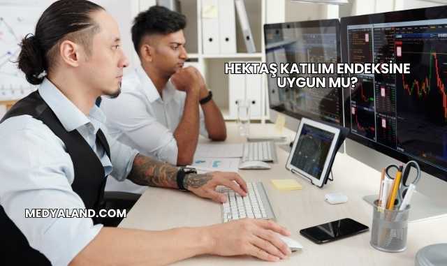 Hektaş Katılım Endeksine Uygun mu?