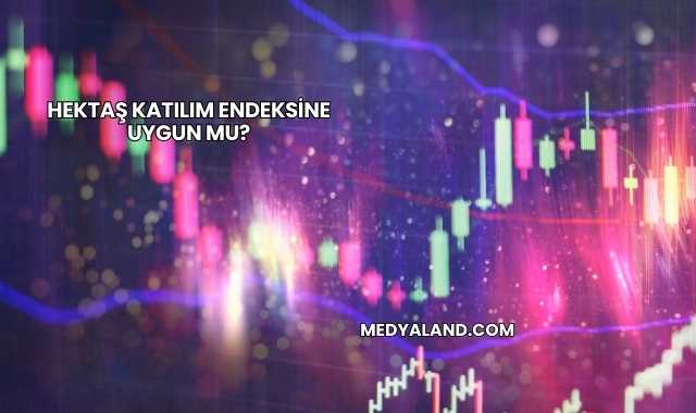 Hektaş Katılım Endeksine Uygun mu?