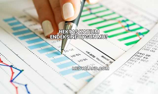 Hektaş Katılım Endeksine Uygun mu?