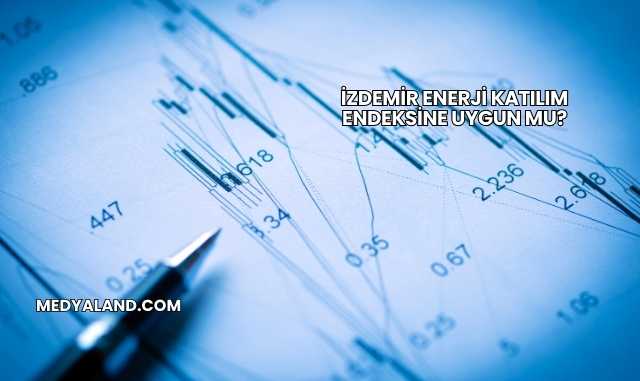 İzdemir Enerji Katılım Endeksine Uygun mu?