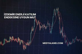 İzdemir Enerji Katılım Endeksine Uygun mu?