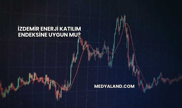 İzdemir Enerji Katılım Endeksine Uygun mu?