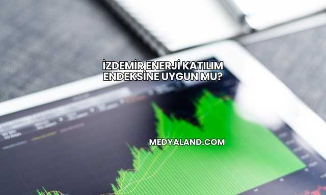 İzdemir Enerji Katılım Endeksine Uygun mu?