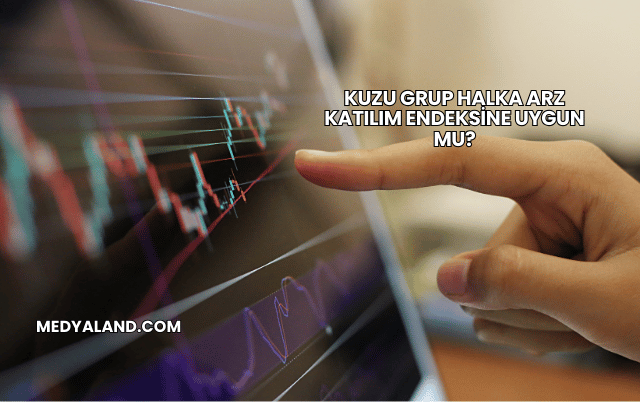 Kuzu Grup Halka Arz Katılım Endeksine Uygun mu?