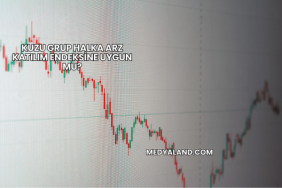 Kuzu Grup Halka Arz Katılım Endeksine Uygun mu?