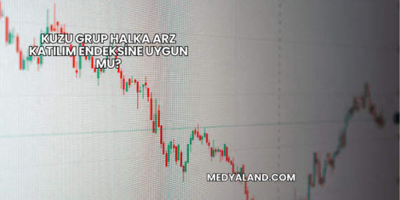 Kuzu Grup Halka Arz Katılım Endeksine Uygun mu?