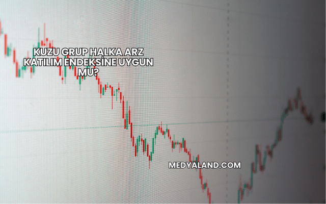 Kuzu Grup Halka Arz Katılım Endeksine Uygun mu?