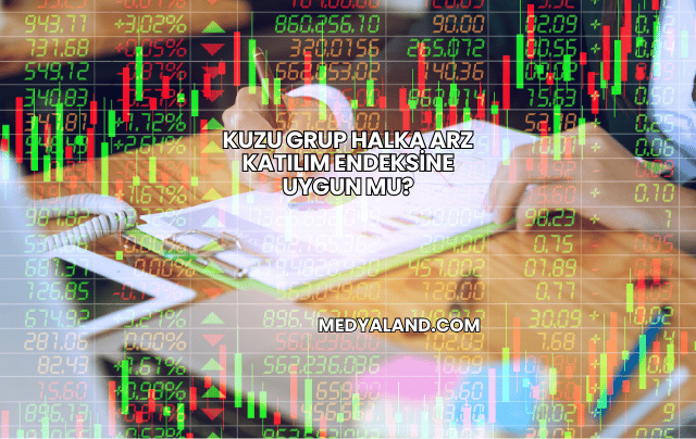 Kuzu Grup Halka Arz Katılım Endeksine Uygun mu?