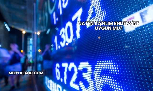 Naten Katılım Endeksine Uygun mu?