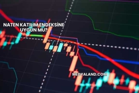 Naten Katılım Endeksine Uygun mu?