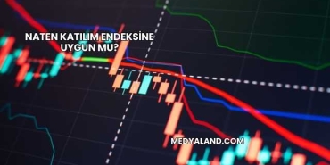 Naten Katılım Endeksine Uygun mu?