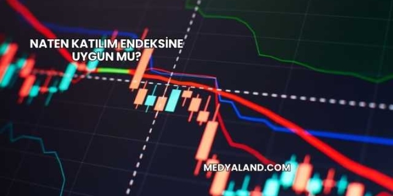 Naten Katılım Endeksine Uygun mu?