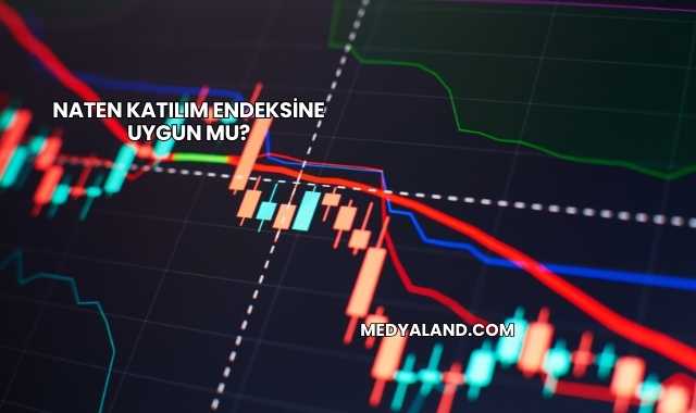 Naten Katılım Endeksine Uygun mu?