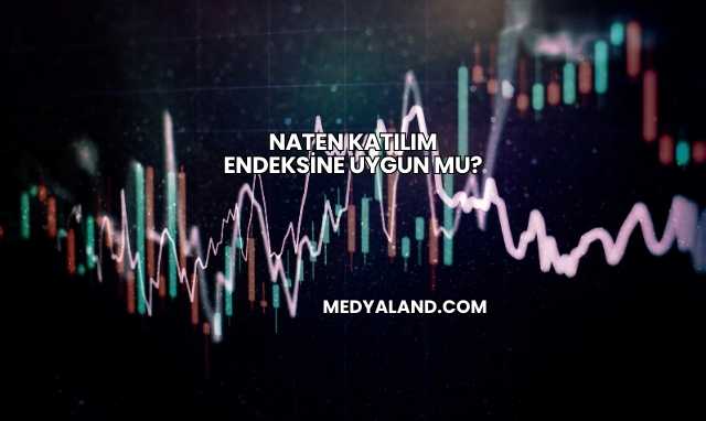 Naten Katılım Endeksine Uygun mu?