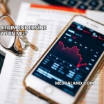 Pegyo Katılım Endeksine Uygun mu?