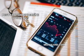 Pegyo Katılım Endeksine Uygun mu?