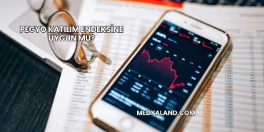 Pegyo Katılım Endeksine Uygun mu?