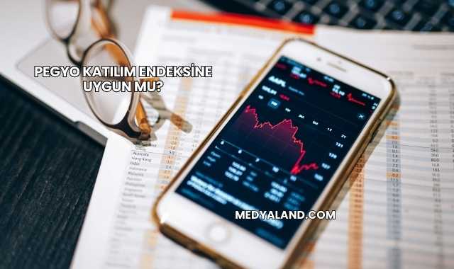 Pegyo Katılım Endeksine Uygun mu?