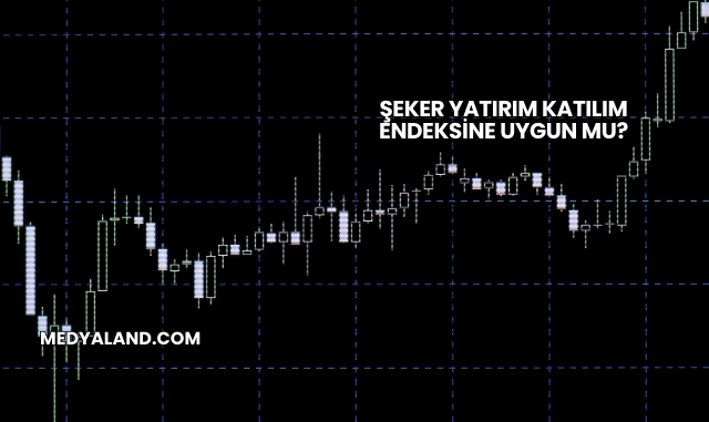 Şeker Yatırım Katılım Endeksine Uygun mu?