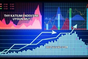 THY Katılım Endeksine Uygun mu?