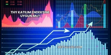 THY Katılım Endeksine Uygun mu?